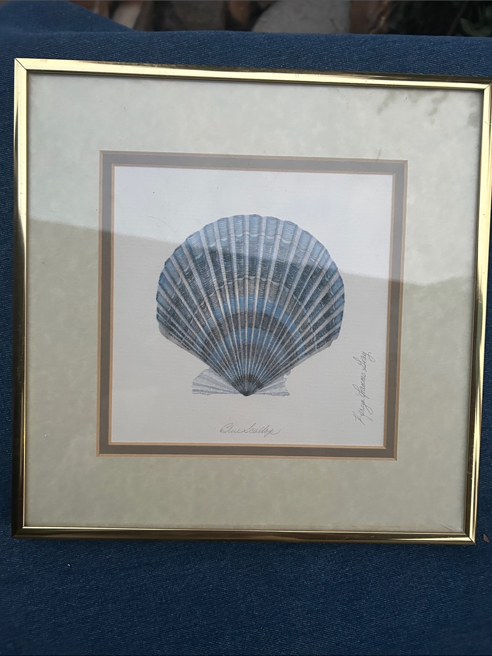 Blue Seashell Framed Watercolor Print